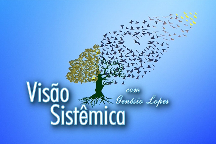 Visão Sistêmica